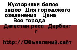 Кустарники более 100 видов. Для городского озеленения › Цена ­ 70 - Все города  »    . Дагестан респ.,Дербент г.